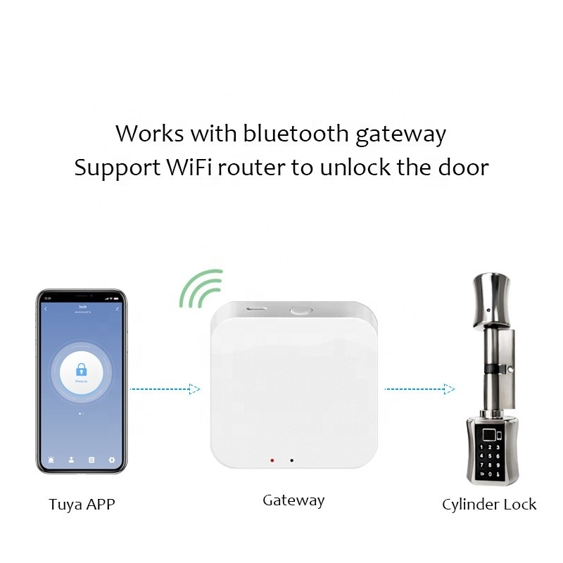 Zinc Alloy Biometric Fingerprint Password Smart Door Lock Wireless lock